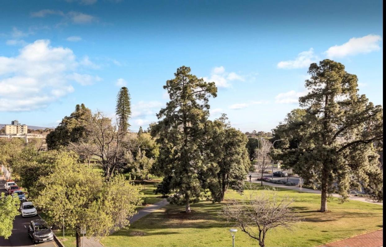 Forest Of Dreams Adelaide Luaran gambar